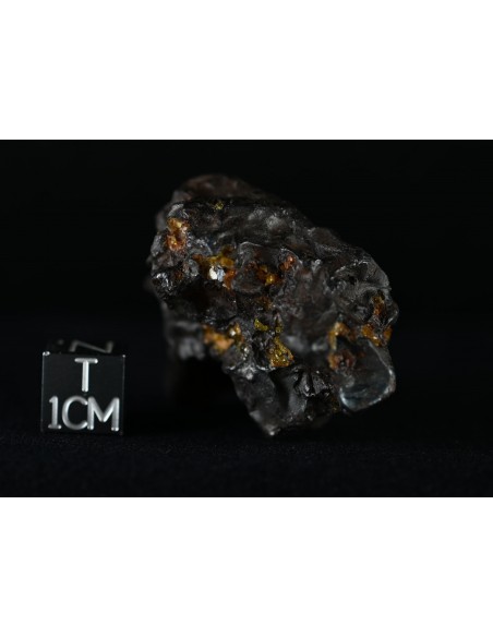 Imilac Pallasite 57.60 g – Individual with Fusion Crust and Olivines |
