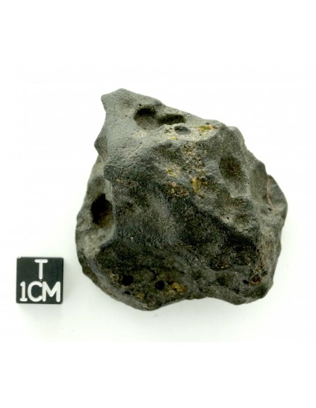 Oued Namous 001 – Angrite Meteorite (97.80 g)