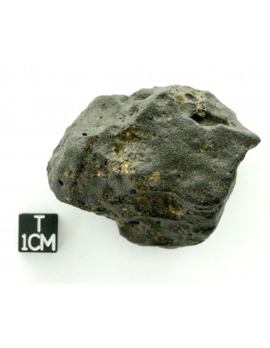 Oued Namous 001 – Angrite Meteorite (97.80 g)