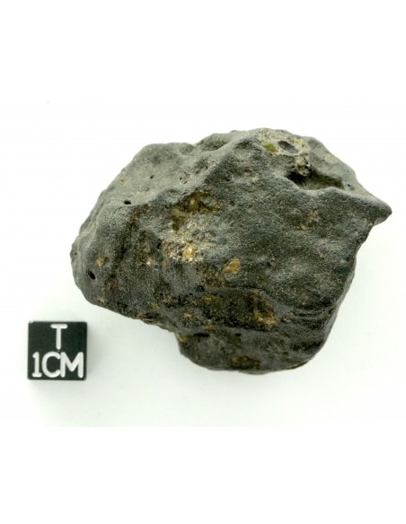 Oued Namous 001 – Angrite Meteorite (97.80 g)