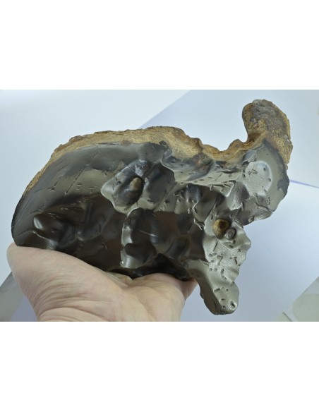 Oriented Iron Meteorite 2.76 kg – Shield Shape with Apex Flow Lines