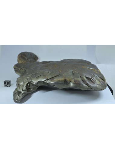 Oriented Iron Meteorite 2.76 kg – Shield Shape with Apex Flow Lines