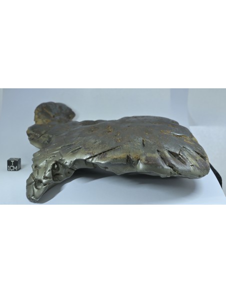 Oriented Iron Meteorite 2.76 kg – Shield Shape with Apex Flow Lines