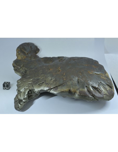 Oriented Iron Meteorite 2.76 kg – Shield Shape with Apex Flow Lines
