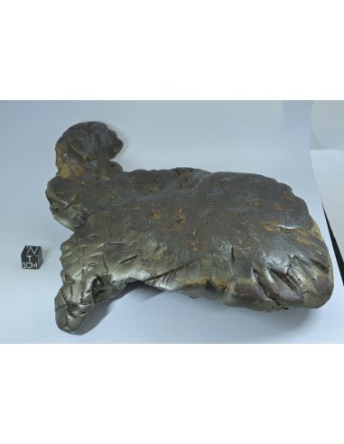 Oriented Iron Meteorite 2.76 kg – Shield Shape with Apex Flow Lines