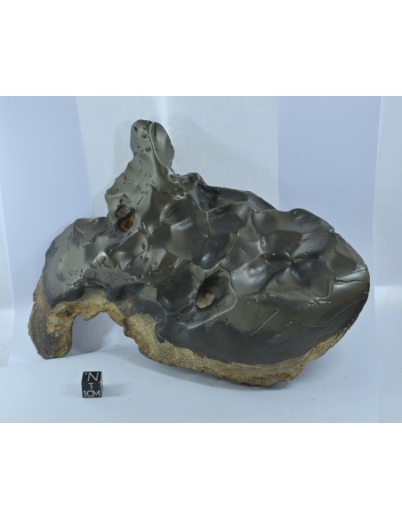 Oriented Iron Meteorite 2.76 kg – Shield Shape with Apex Flow Lines