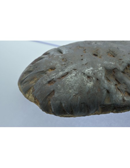 Oriented Iron Meteorite 2.76 kg – Shield Shape with Apex Flow Lines