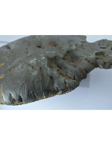 Oriented Iron Meteorite 2.76 kg – Shield Shape with Apex Flow Lines