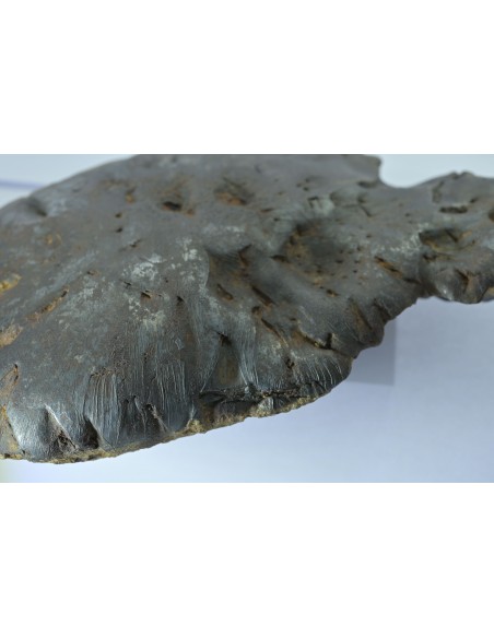Oriented Iron Meteorite 2.76 kg – Shield Shape with Apex Flow Lines