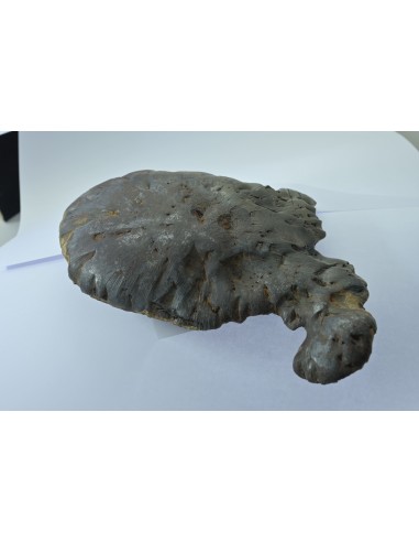 Oriented Iron Meteorite 2.76 kg – Shield Shape with Apex Flow Lines