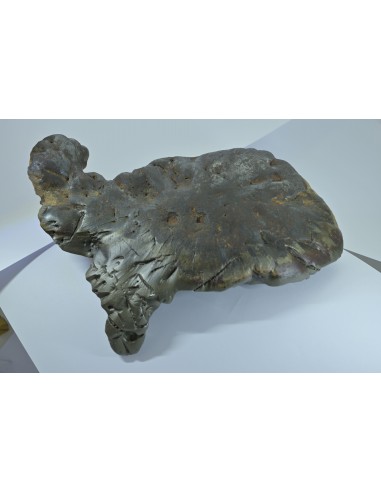 Oriented Iron Meteorite 2.76 kg – Shield Shape with Apex Flow Lines