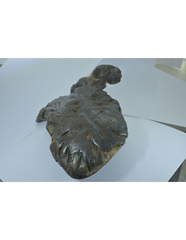 Oriented Iron Meteorite 2.76 kg – Shield Shape with Apex Flow Lines
