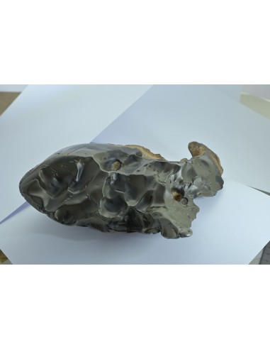 Oriented Iron Meteorite 2.76 kg – Shield Shape with Apex Flow Lines