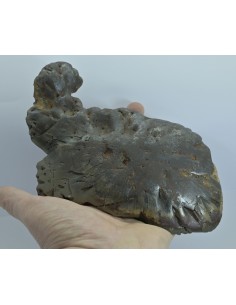 Oriented Iron Meteorite 2.76 kg – Shield Shape with Apex Flow Lines