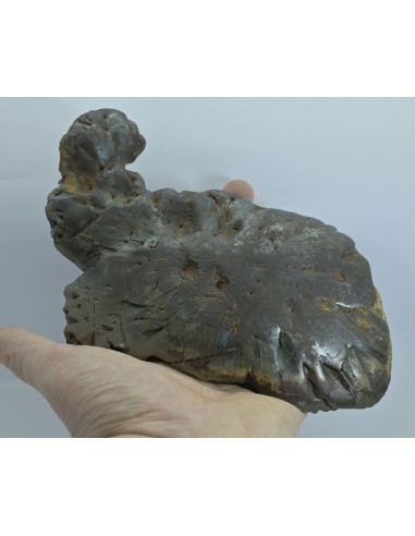 Oriented Iron Meteorite 2.76 kg – Shield Shape with Apex Flow Lines
