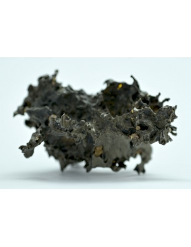 Golden Pallasite 50.20 g – Natural Individual with Spikes and Olivines