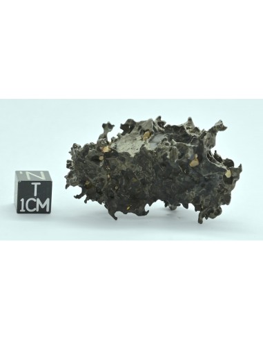 Golden Pallasite 50.20 g – Natural Individual with Spikes and Olivines