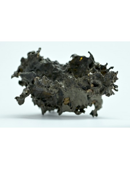 Golden Pallasite 50.20 g – Natural Individual with Spikes and Olivines