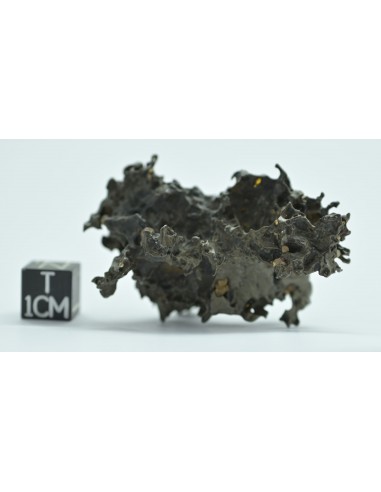 Golden Pallasite 50.20 g – Natural Individual with Spikes and Olivines