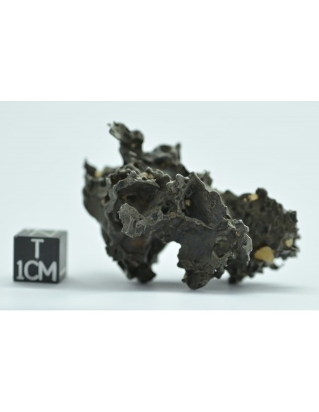 Golden Pallasite 50.20 g – Natural Individual with Spikes and Olivines