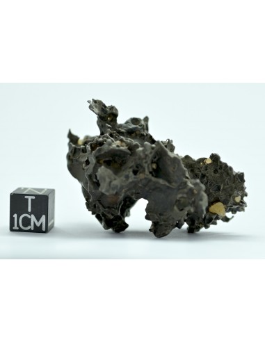 Golden Pallasite 50.20 g – Natural Individual with Spikes and Olivines