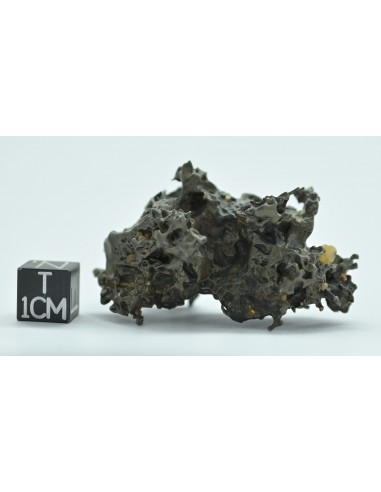 Golden Pallasite 50.20 g – Natural Individual with Spikes and Olivines