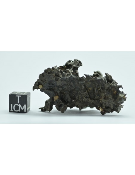 Golden Pallasite 50.20 g – Natural Individual with Spikes and Olivines