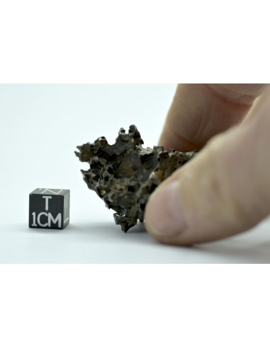 Golden Pallasite 50.20 g – Natural Individual with Spikes and Olivines