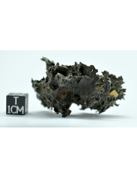 Golden Pallasite 50.20 g – Natural Individual with Spikes and Olivines