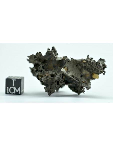 Golden Pallasite 50.20 g – Natural Individual with Spikes and Olivines