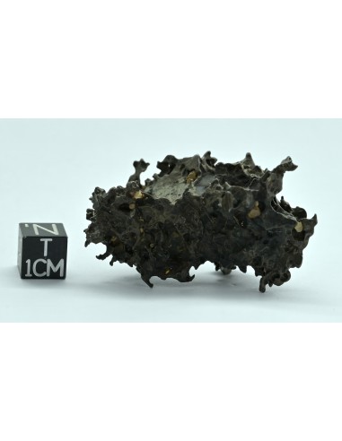 Golden Pallasite 50.20 g – Natural Individual with Spikes and Olivines