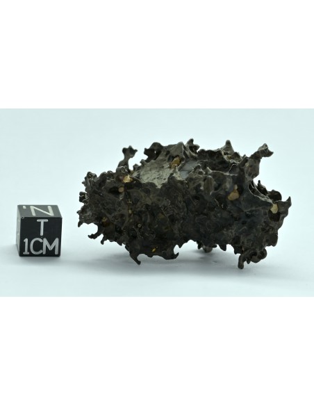 Golden Pallasite 50.20 g – Natural Individual with Spikes and Olivines