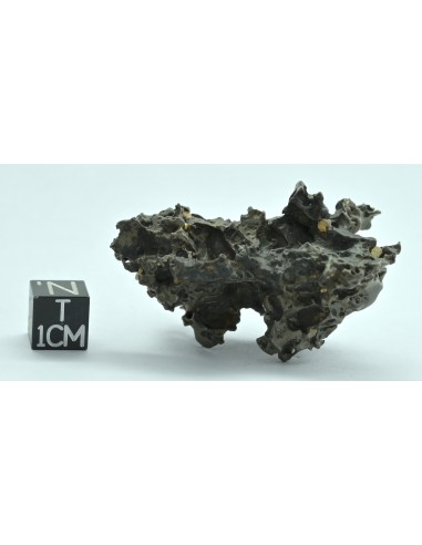 Golden Pallasite 50.20 g – Natural Individual with Spikes and Olivines