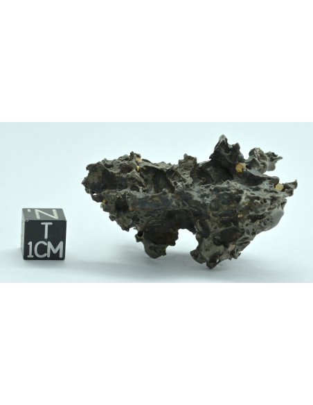 Golden Pallasite 50.20 g – Natural Individual with Spikes and Olivines