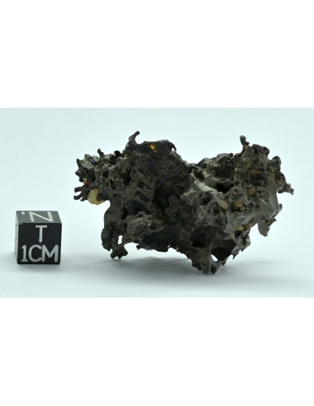 Golden Pallasite 50.20 g – Natural Individual with Spikes and Olivines