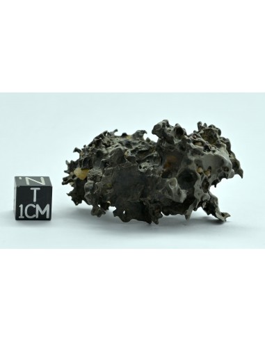 Golden Pallasite 50.20 g – Natural Individual with Spikes and Olivines