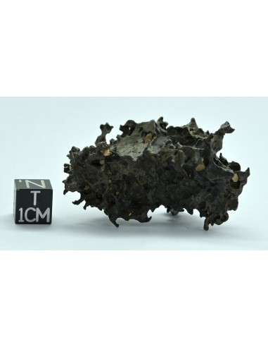 Golden Pallasite 50.20 g – Natural Individual with Spikes and Olivines