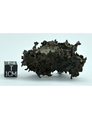 Golden Pallasite 50.20 g – Natural Individual with Spikes and Olivines