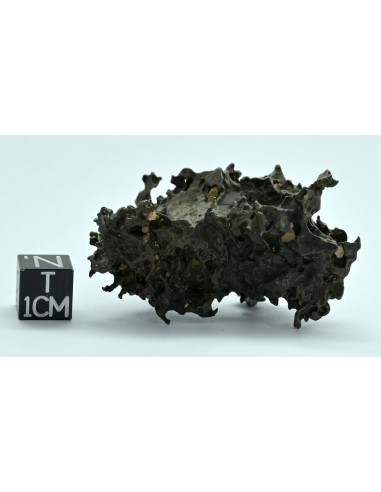 Golden Pallasite 50.20 g – Natural Individual with Spikes and Olivines