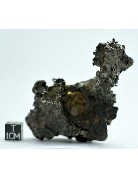 Golden Pallasite 131.80 g – Natural Individual with animal-like shape