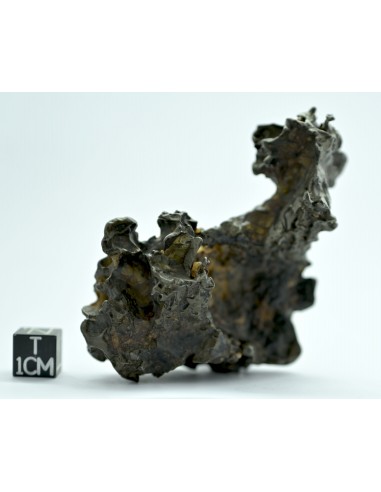 Golden Pallasite 131.80 g – Natural Individual with animal-like shape