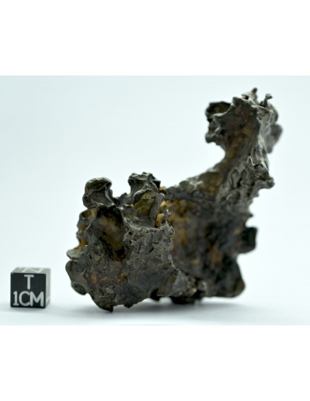 Golden Pallasite 131.80 g – Natural Individual with animal-like shape