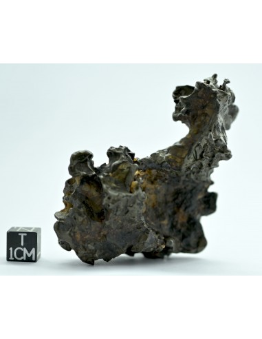 Golden Pallasite 131.80 g – Natural Individual with animal-like shape