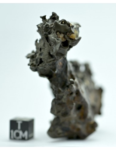 Golden Pallasite 131.80 g – Natural Individual with animal-like shape