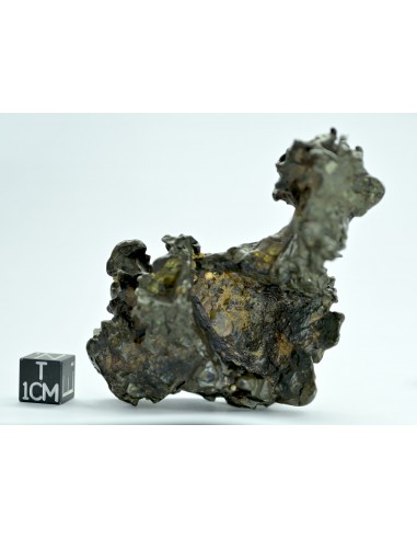 Golden Pallasite 131.80 g – Natural Individual with animal-like shape
