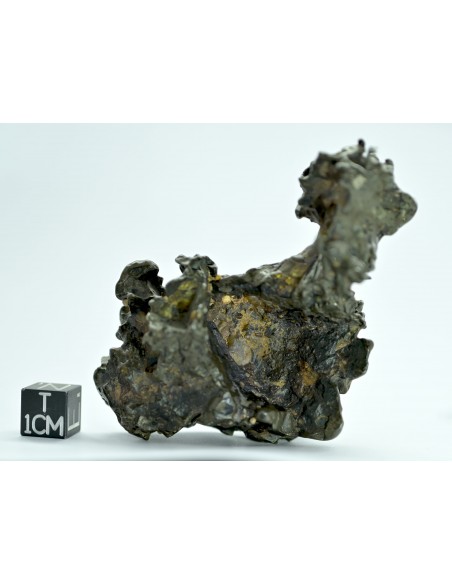 Golden Pallasite 131.80 g – Natural Individual with animal-like shape