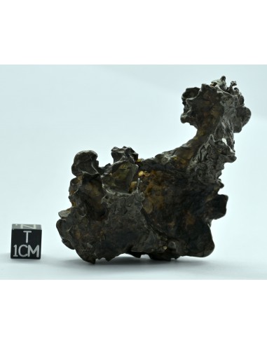 Golden Pallasite 131.80 g – Natural Individual with animal-like shape