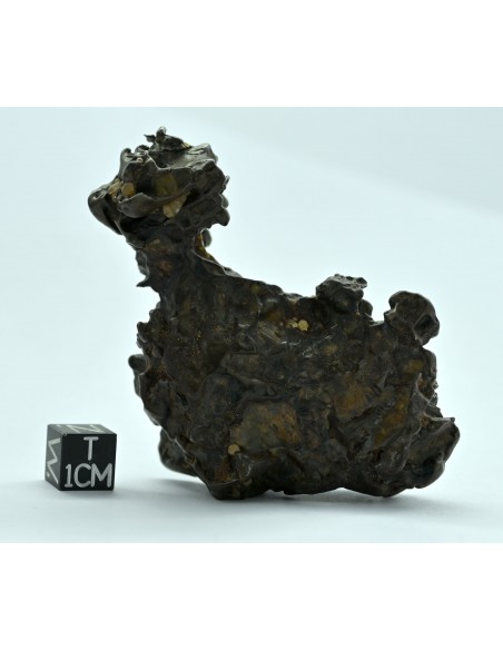 Golden Pallasite 131.80 g – Natural Individual with animal-like shape