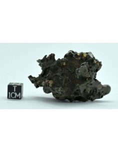 Golden Pallasite 96 g – Compact Natural Individual