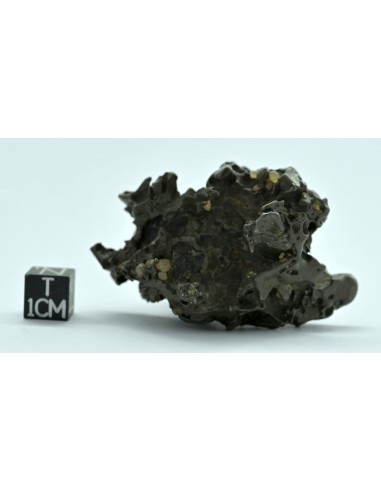 Golden Pallasite 96 g – Compact Natural Individual